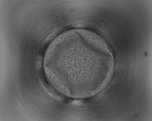 X0000116010171200912101350