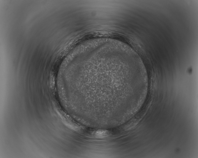 X0000116010173200912101350