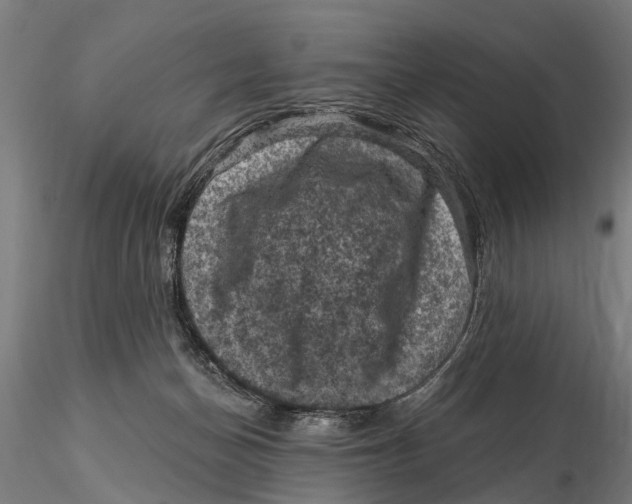 X0000116010174200912101350