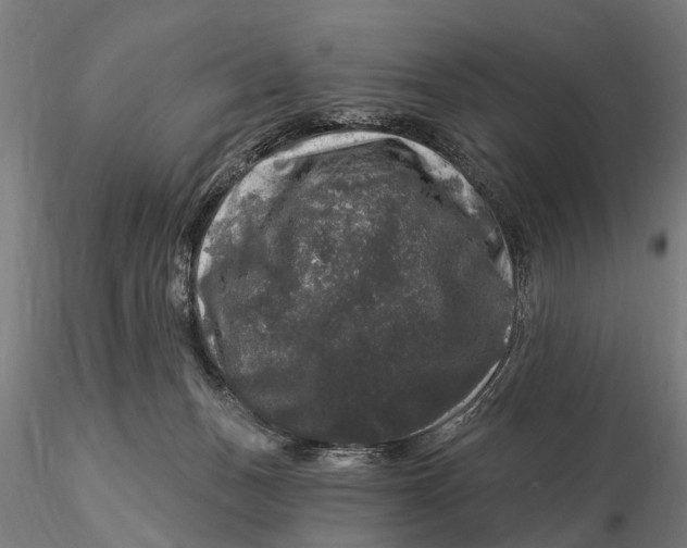 X0000116010175200912101350