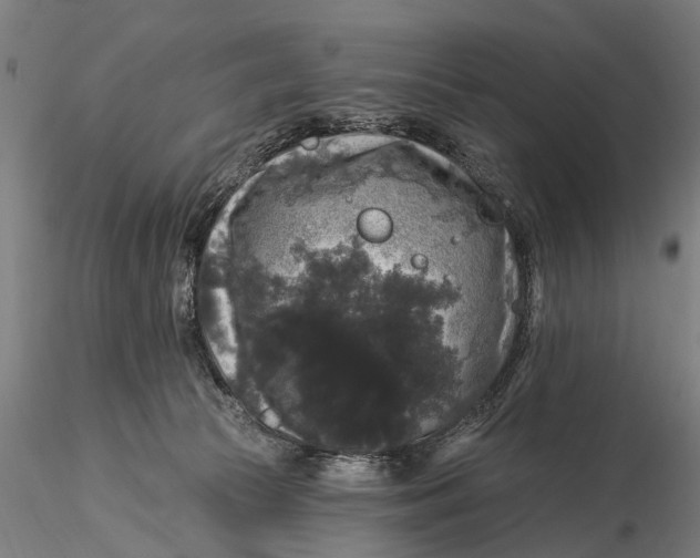 X0000116010177200912101350