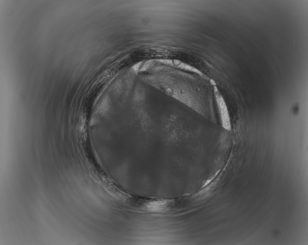 X0000116010178200912101350