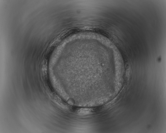 X0000116010179200912101350