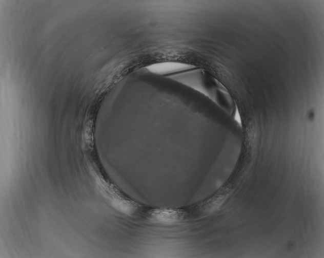 X0000116010181200912101350