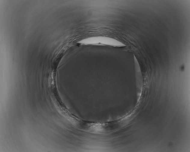 X0000116010182200912101350