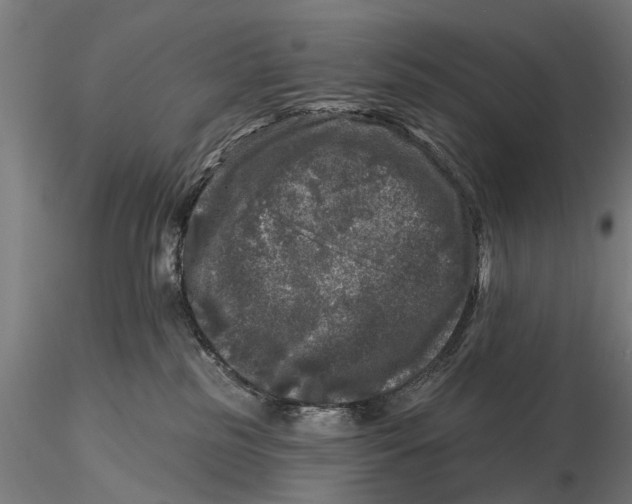 X0000116010185200912101350