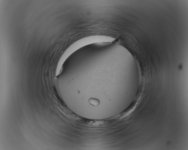 X0000116010186200912101350