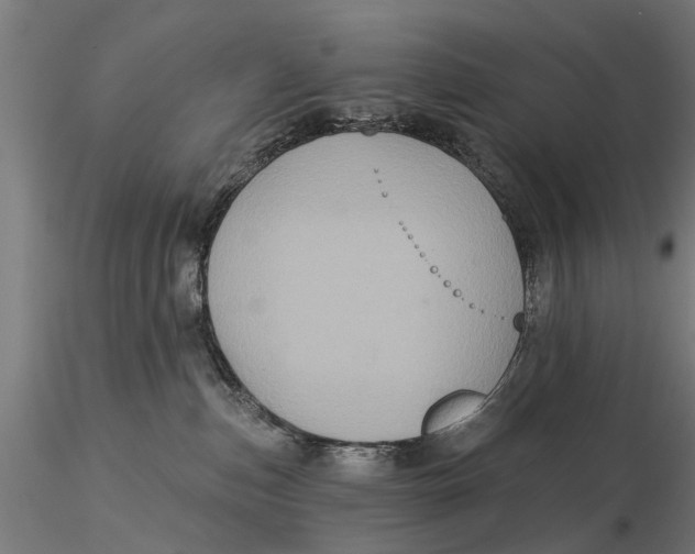 X0000116010187200912101350