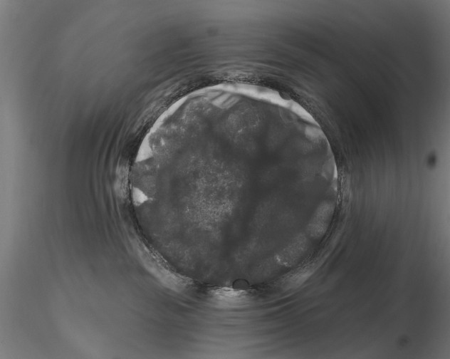 X0000116010189200912101350