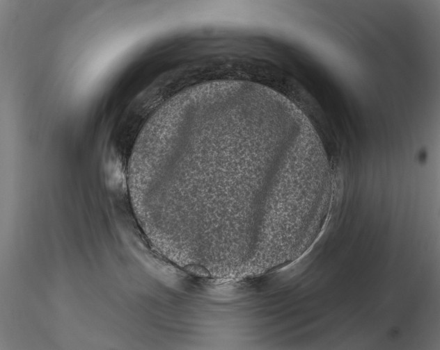 X0000116010191200912101350