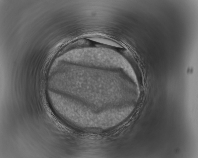 X0000116010193200912101349