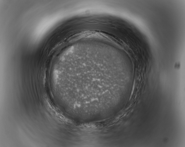 X0000116010194200912101349