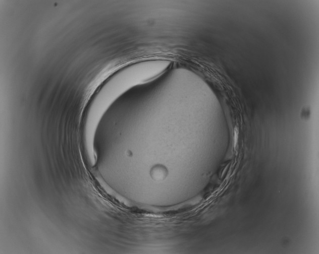 X0000116010195200912101349