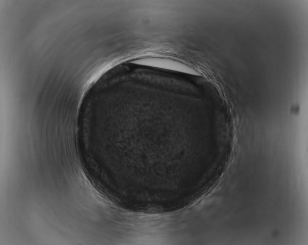 X0000116010196200912101349