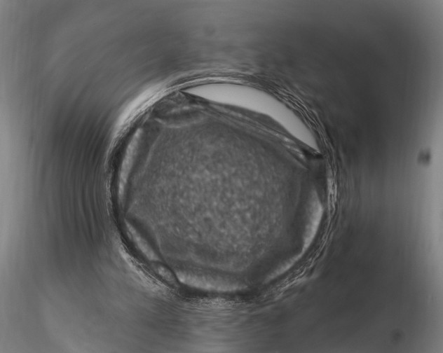 X0000116010197200912101349