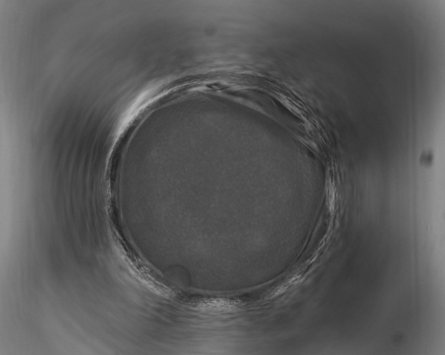 X0000116010198200912101349