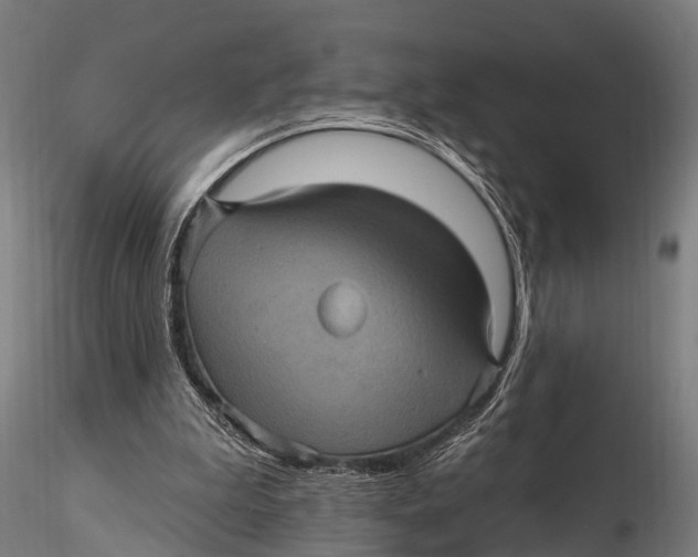 X0000116010199200912101349