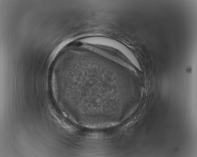 X0000116010200200912101349