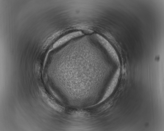 X0000116010201200912101349