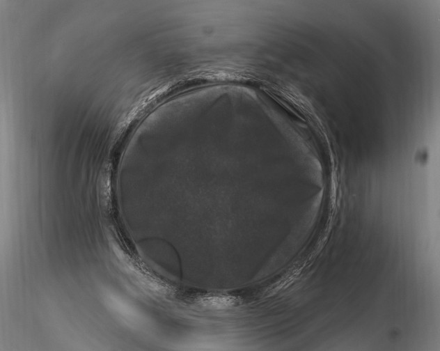 X0000116010202200912101349