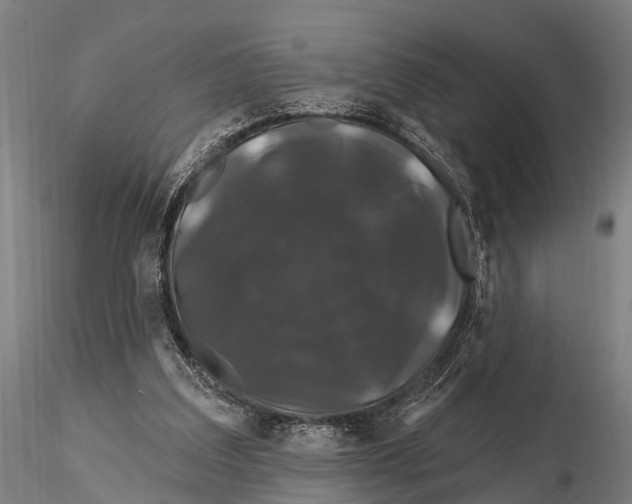 X0000116010203200912101349