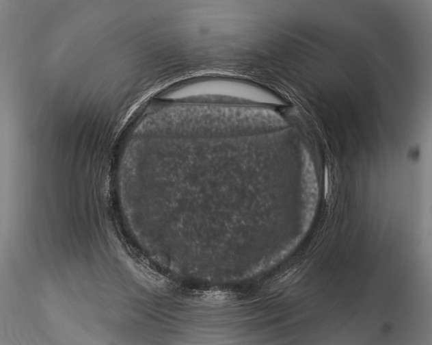 X0000116010204200912101349