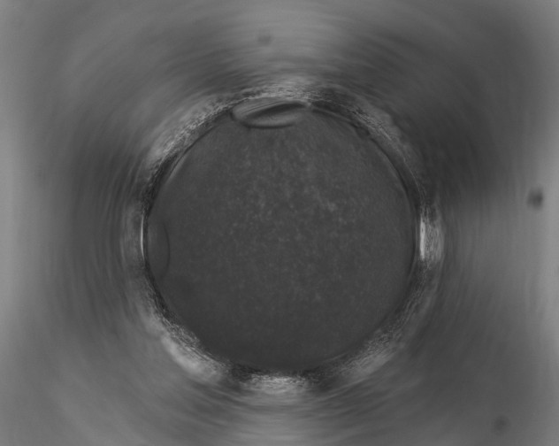 X0000116010205200912101349