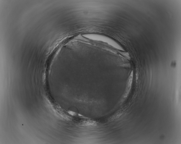 X0000116010206200912101349