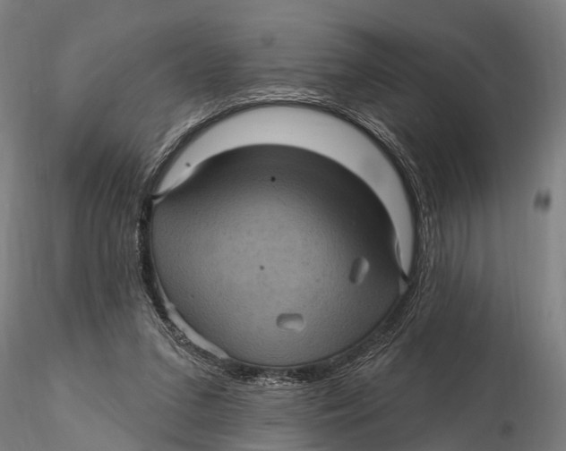 X0000116010207200912101349