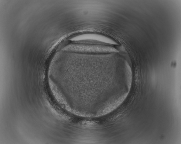 X0000116010208200912101349