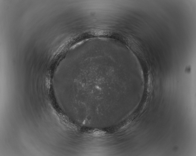 X0000116010210200912101349