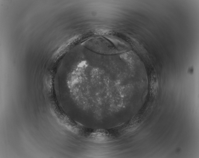 X0000116010211200912101349