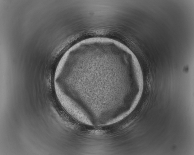 X0000116010212200912101349