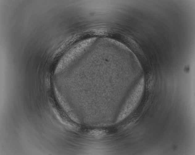 X0000116010213200912101349