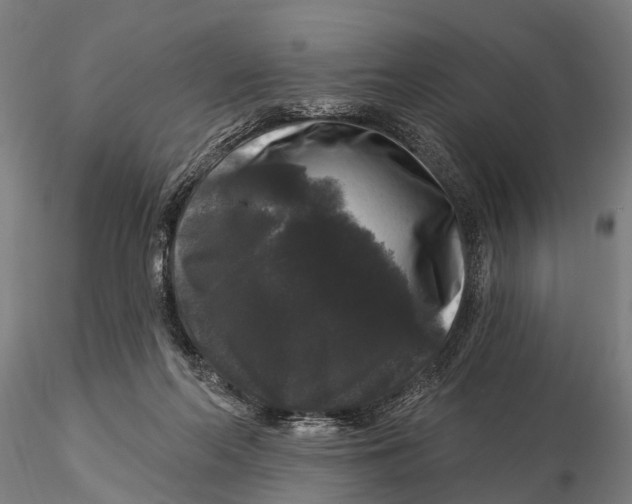 X0000116010214200912101349