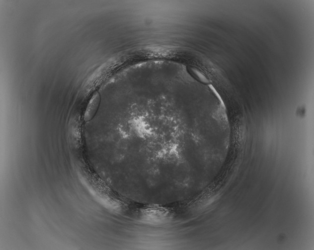 X0000116010215200912101349