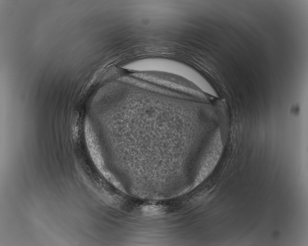 X0000116010216200912101349