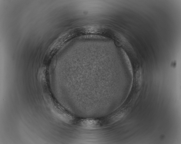 X0000116010217200912101349