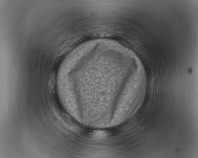 X0000116010218200912101349