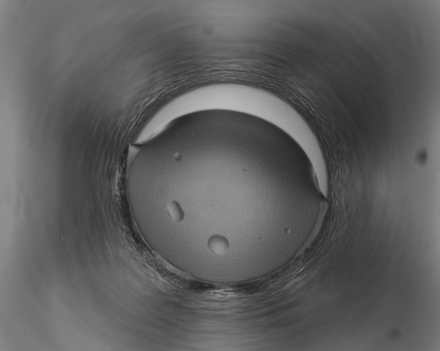 X0000116010219200912101349