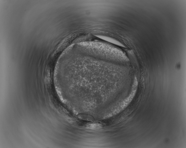 X0000116010220200912101349