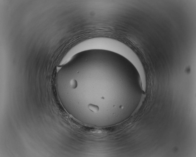 X0000116010221200912101349