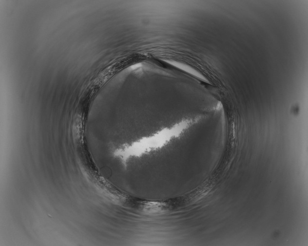 X0000116010222200912101349