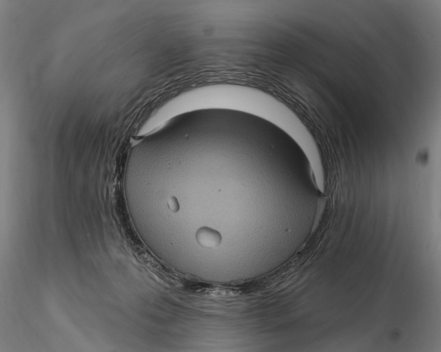 X0000116010223200912101349