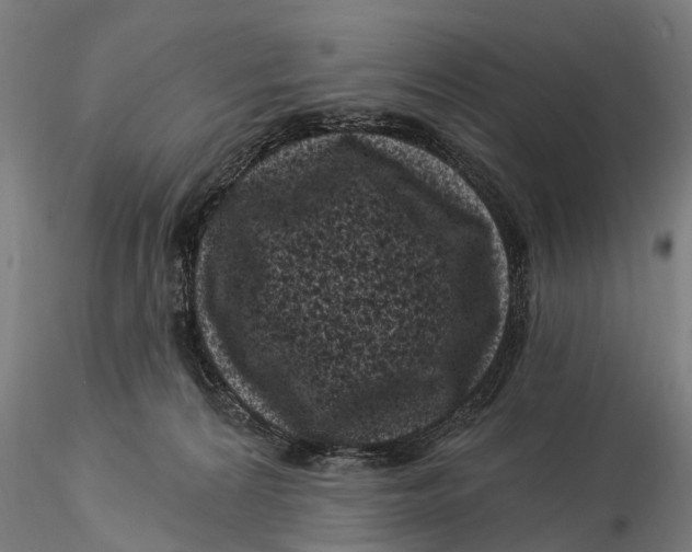 X0000116010224200912101349