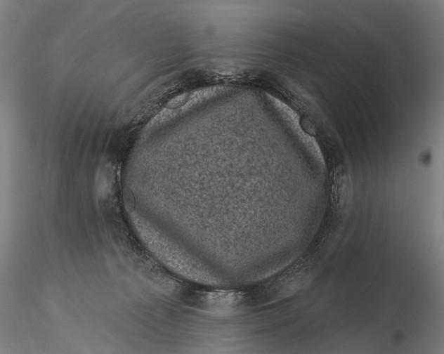 X0000116010225200912101349