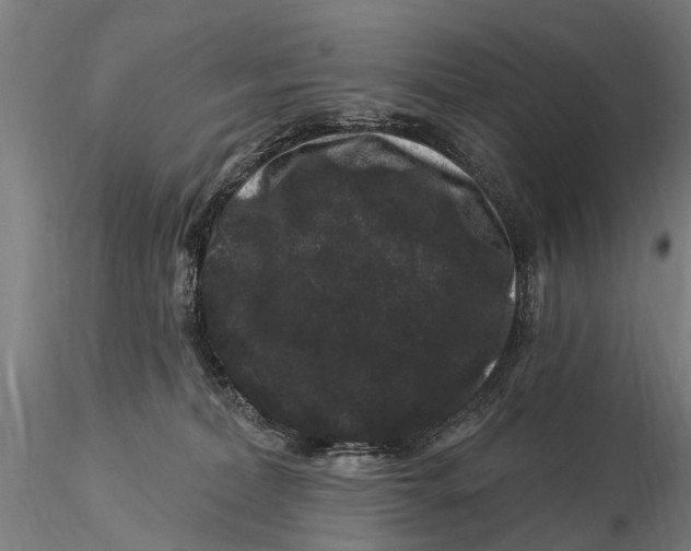 X0000116010228200912101349