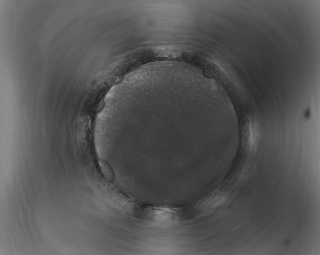 X0000116010229200912101349