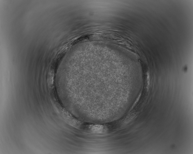 X0000116010230200912101349