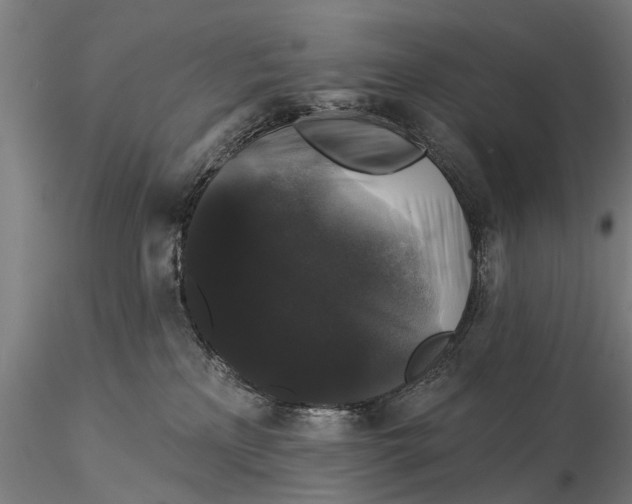 X0000116010233200912101349